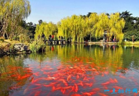 杭州西湖十景之一花港观鱼