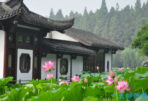 杭州西湖十景之一曲苑风荷