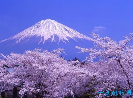 日本