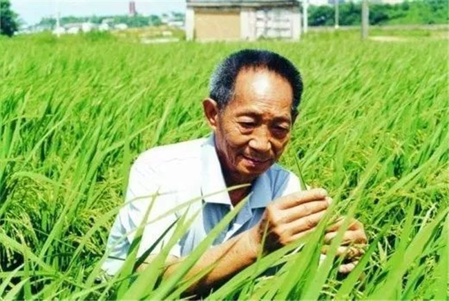 袁隆平身价多少