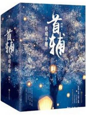 首辅养成手册