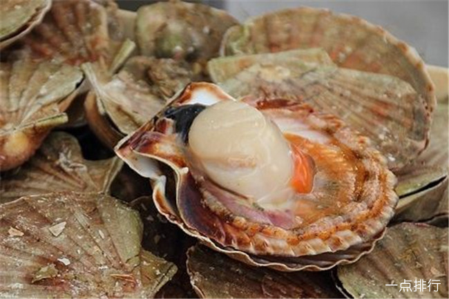 威海扇贝