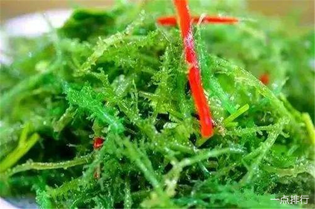 鹿角菜
