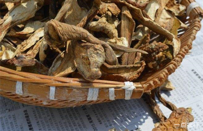 桂东黄菌干