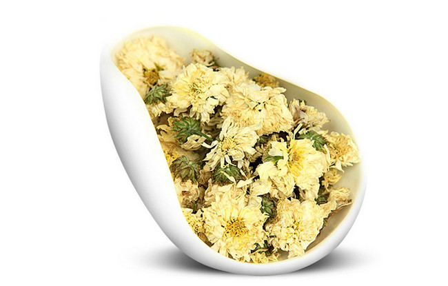 黄山贡菊