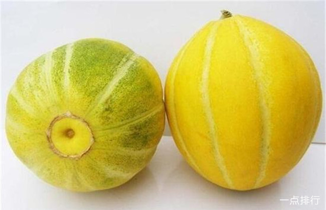 金粉甜瓜