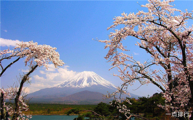 富士山