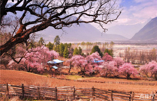 桃花峪景区