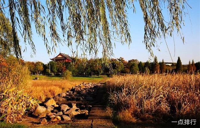 福田湿地公园