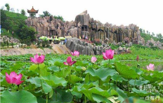 中原绿色庄园
