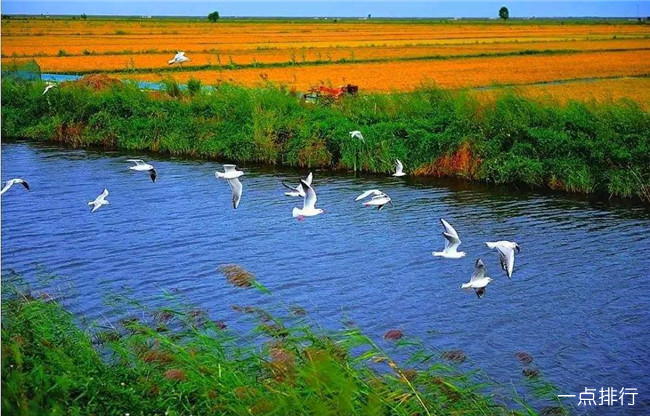 盘锦湿地