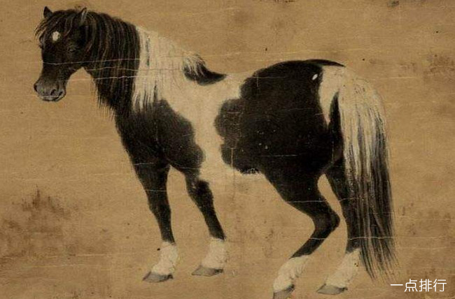 盗俪‍