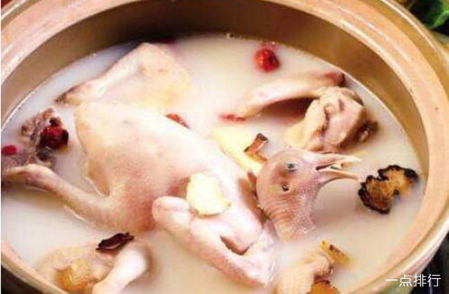 鸽子‍