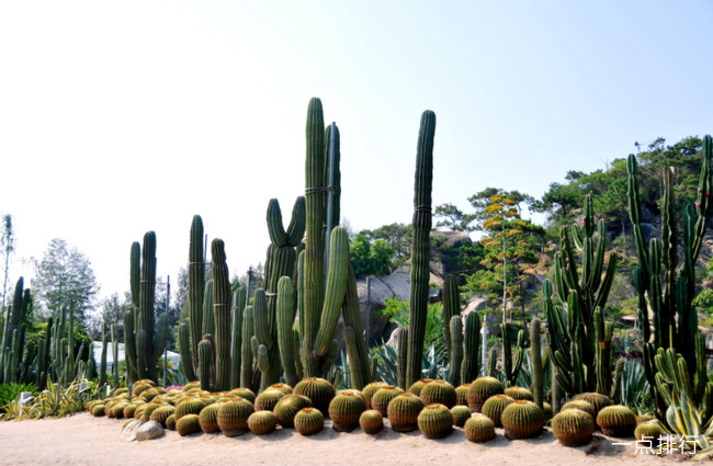 万石植物园‍