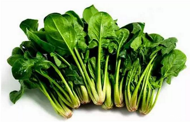 菠菜‍