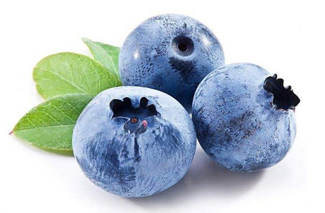 蓝莓‍‍