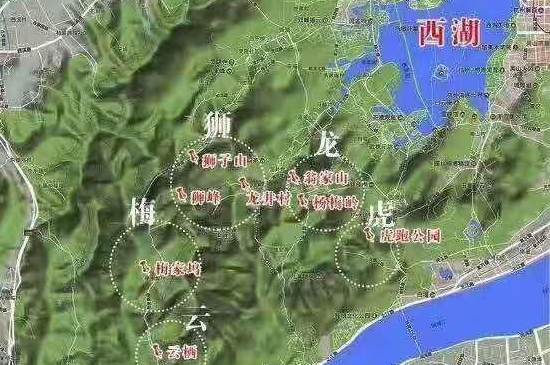 西湖龙井43号多少钱一斤，2020杭州正宗龙井茶价格多少？