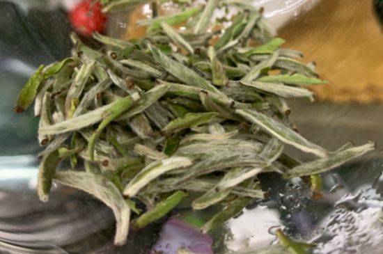 蒸汽煮茶器适合什么茶，蒸汽煮茶器适合用绿茶吗？