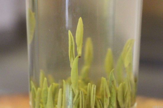 十大名茶口感，十大名茶哪个口感最香