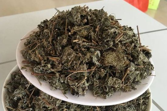 溪黄草茶多久喝一次，溪黄草一天喝几杯？