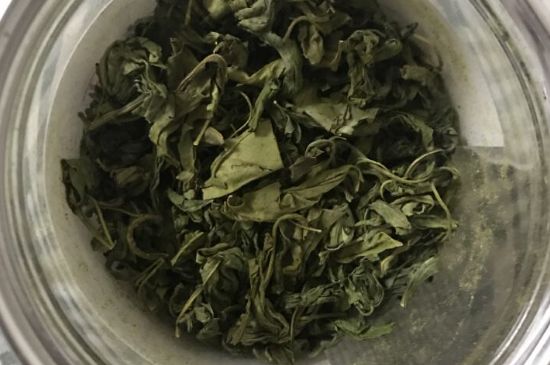 丁香茶的禁忌，哪些人不宜喝丁香茶？