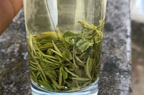 茶多酚一天摄入量，茶多酚用法与用量