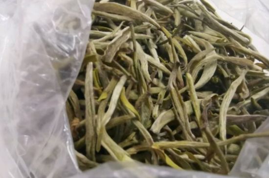 福鼎白茶分类等级，福鼎白茶4个等级哪个好？