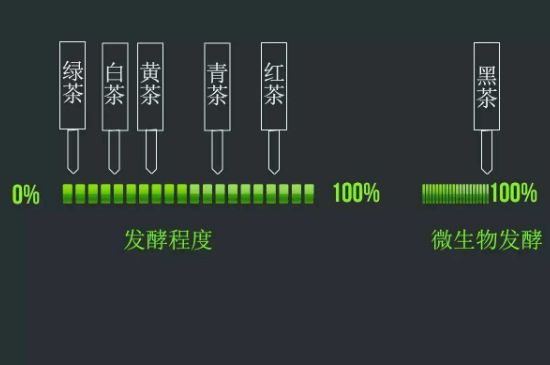 茶叶是怎么发酵的，茶叶发酵具体怎么做？
