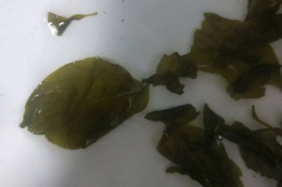 丁香茶去哪里买，丁香茶药店买还是超市？