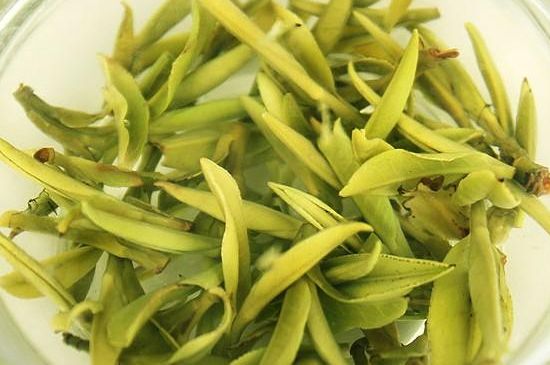 中国四大黄茶，黄茶的代表名茶是？