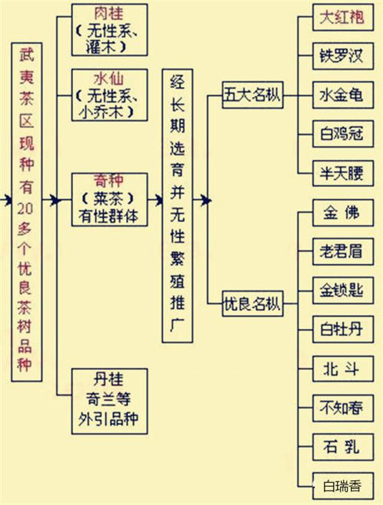 三坑两涧是什么意思，三坑两涧两窠一洞一岩指的是什么？