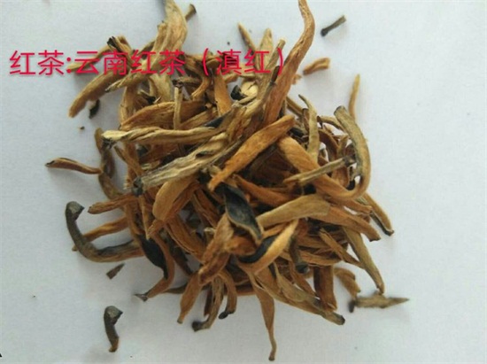 20种茶叶看图认茶，茶叶种类图片对照