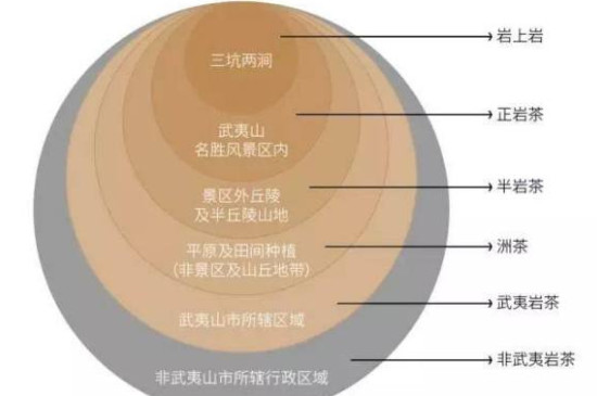 武夷山岩茶品种名称大全，武夷岩茶品种编号大全