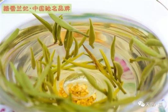 踏雪兰妃茶价格，兰妃茶叶多少钱一斤？