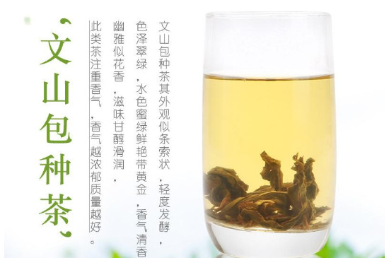 哪里的茶叶最出名，中国哪个省茶叶最出名？