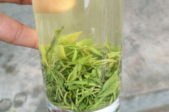 山东名茶十大名茶之首，山东茶叶排行榜