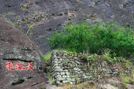 最贵的茶叶多少钱一克，中国最贵的三种茶