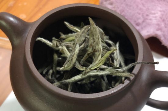 白茶到底护肝还是伤肝，喝茶叶护肝吗？