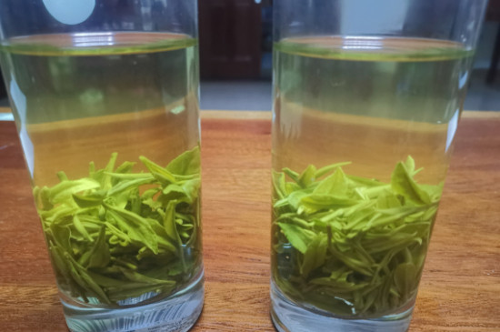 这个季节哪种茶上市，新茶上市时间