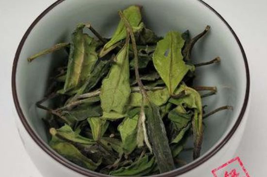 为什么华茶一号好喝，华茶一号是什么品种？