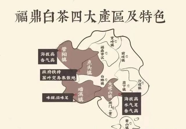 福鼎白茶产地哪最好，正宗福鼎白茶产地在哪里？