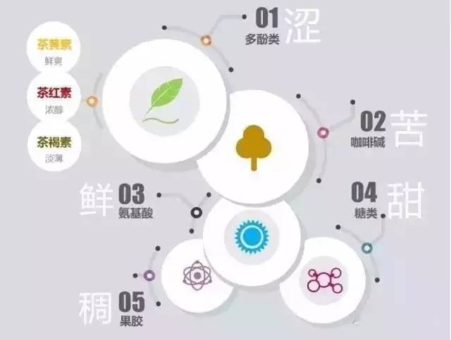 茶叶内含物质详解图，茶叶中的主要成分及含量