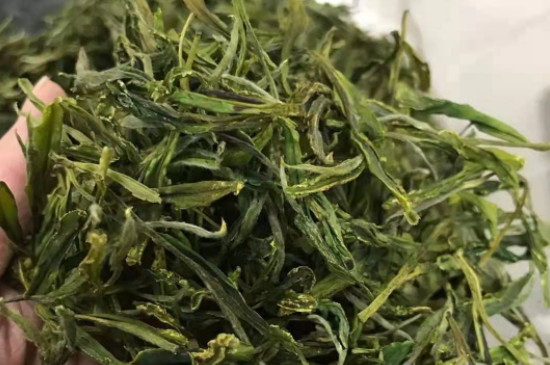 黄山野茶的功效与作用，野生茶有什么好处？