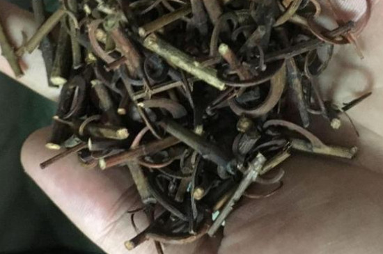 莓茶是中药勾藤和叶吗，藤茶是不是勾藤的叶子？