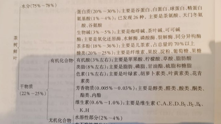 茶叶提神效果排行，哪种茶叶最提神？