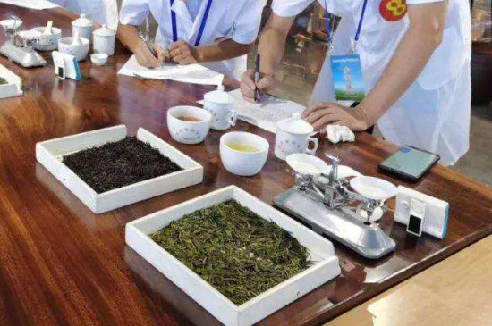 国家二级评茶师含金量多少，评茶员证书有啥用？