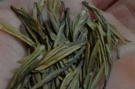 茅山白茶属于什么茶，茅山白茶算是好茶吗？