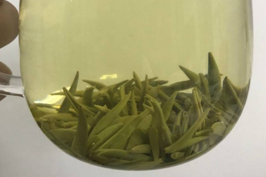 茅山茶叶多少钱一斤，茅山名茶价格