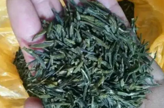 桐柏玉叶属于什么茶，桐柏玉叶茶是绿茶吗？