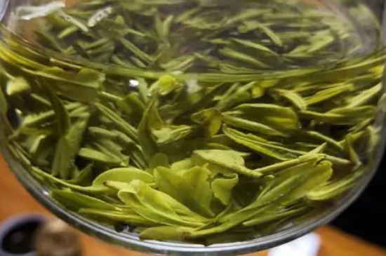 桐柏玉叶属于什么茶，桐柏玉叶茶是绿茶吗？